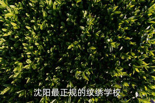 盛宴國(guó)際紋繡,慕秀國(guó)際紋繡怎么樣...